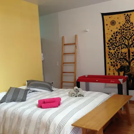 Guest house Loft Taipas 2*